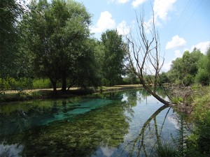 La Campania che non ti aspetti - Parco del Grassano 1/2